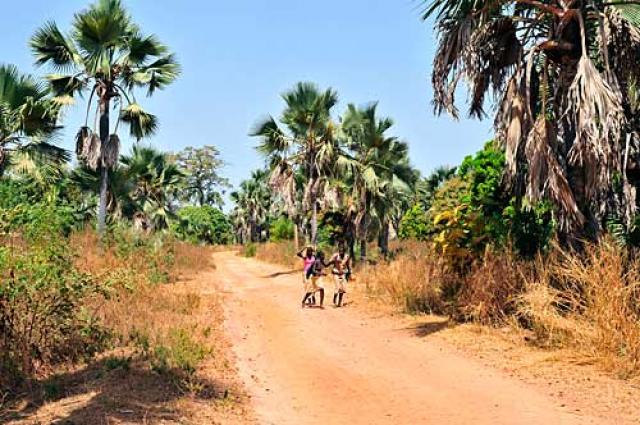 Casamance le Kassoumaye  (8j) - Image 6