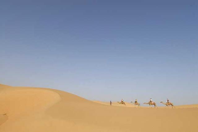 Baobabs, Dunes et Saloum (4j) - Image 2