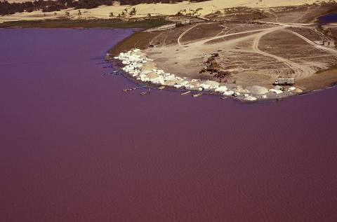 Baobabs, Dunes et Saloum (4j) - Image 7