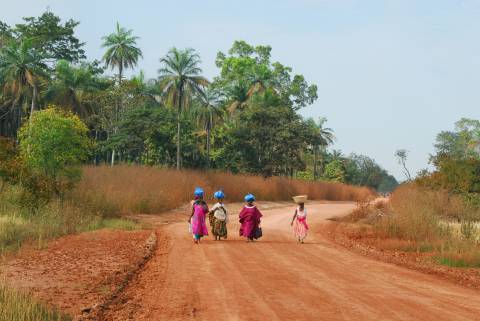 Le Grand Tour du Sénégal (15j) - Image 9