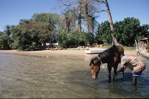 VTT - Saloum, nature et rencontres (8j) - Image 3