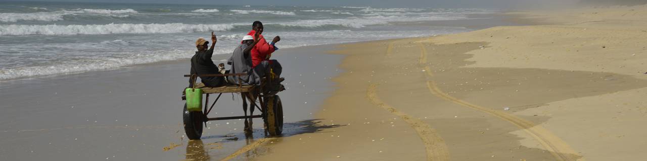 Image du circuit Trek - Brousse & Sine-Saloum (8j)