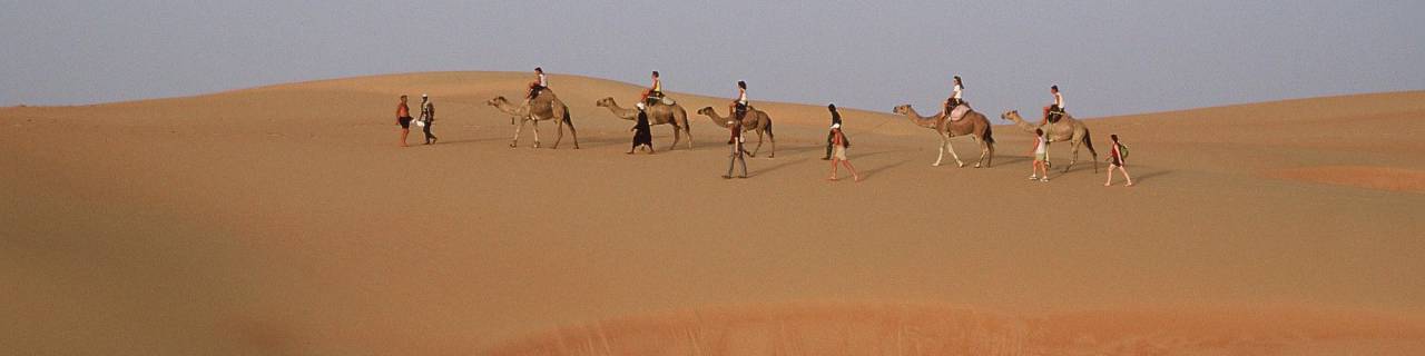 Image du circuit Baobabs, Dunes et Saloum (4j)