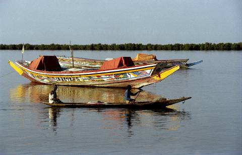 De St. Louis aux rives du Sine-Saloum (8j) - Image 3