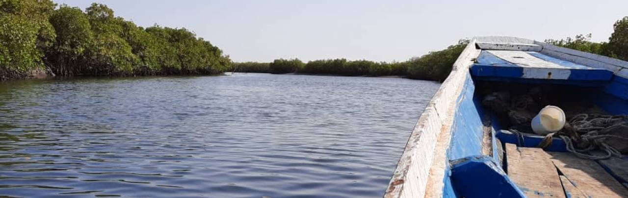 Le Delta du Saloum 1