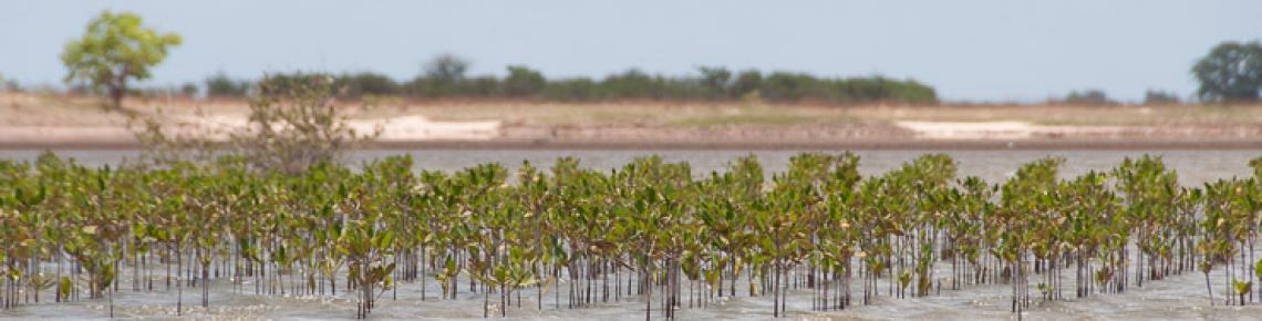 Image panoramique du tourisme au Sénégal