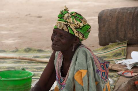 Brousse dans le Saloum - Image 1