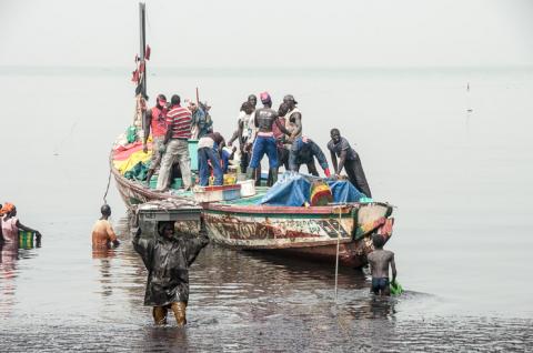 Port de pêche et marché de Mbour au Sénégal