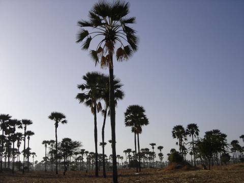 Circuit au Sénégal - Image 7