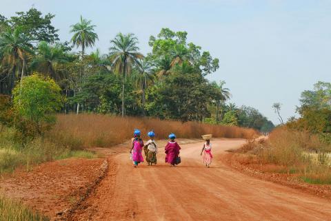 Circuit au Sénégal - Image 10